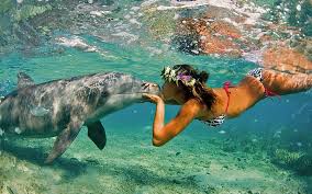Swimming with Dolphins and Snorkeling in Hurghada